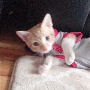 Meet your Posher, Zeenat